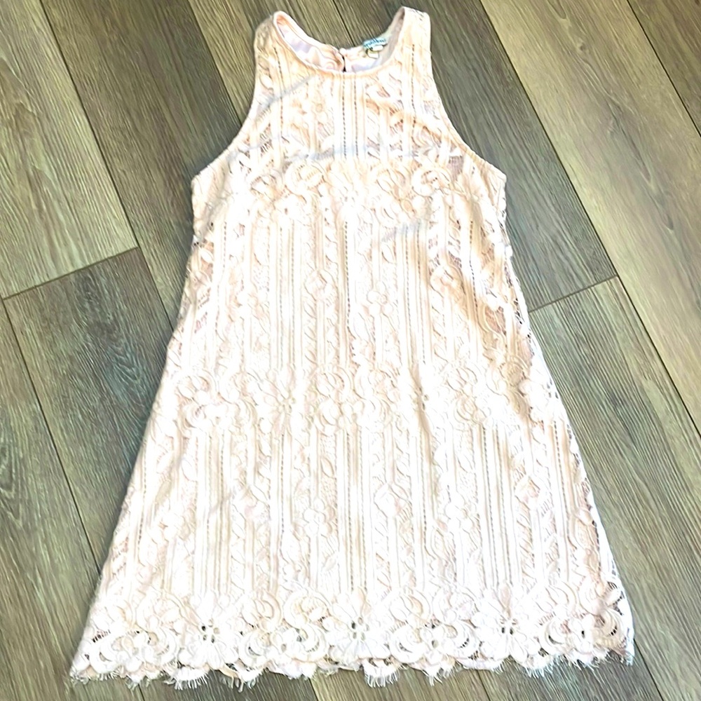 Blush Pink Lace Overlay Dress by Speechless